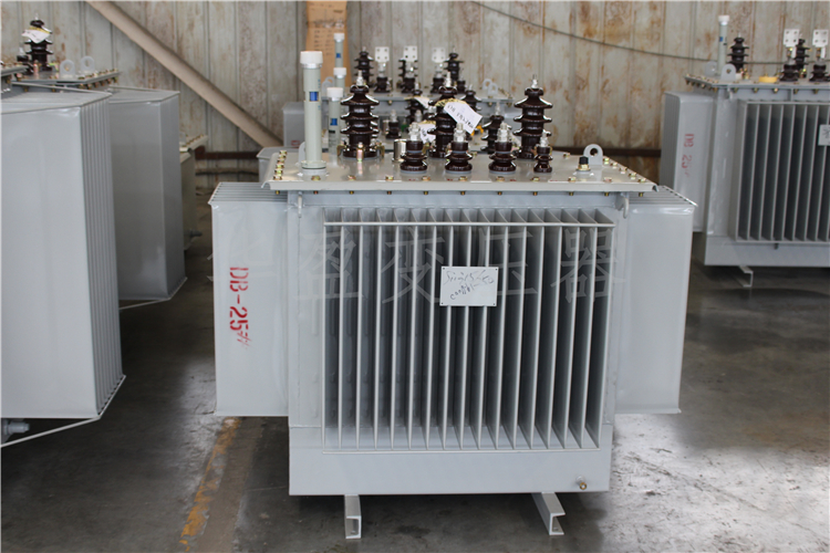 绍兴S20-800kVA/10kV/0.4kV变压器